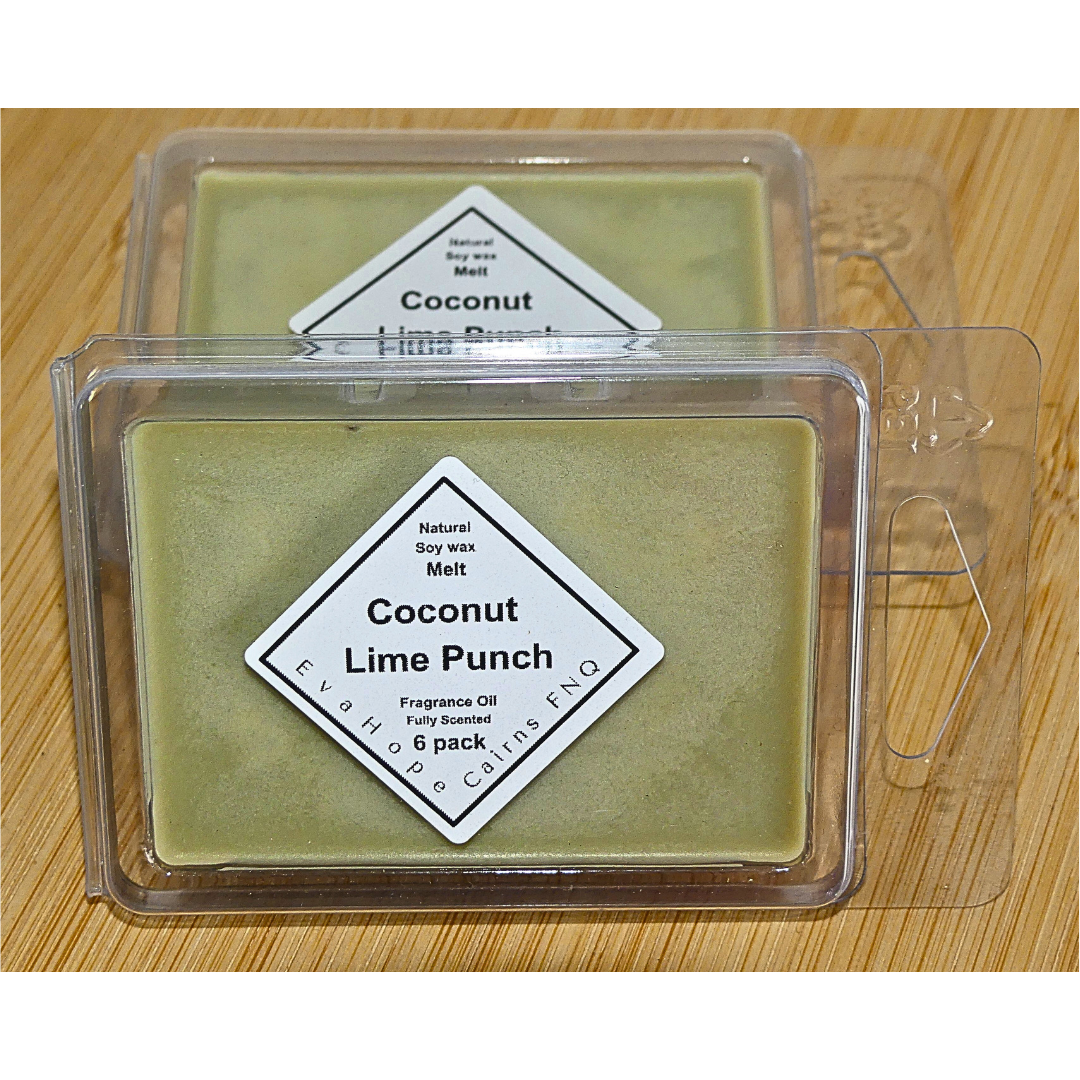 COCONUT LIME PUNCH - Soy Wax Melts