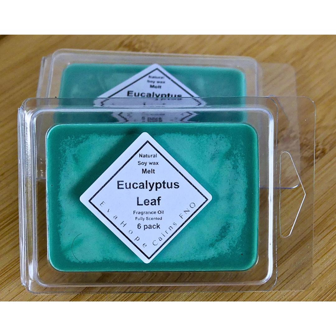 EUCALYPTUS LEAF - Soy Wax Melts