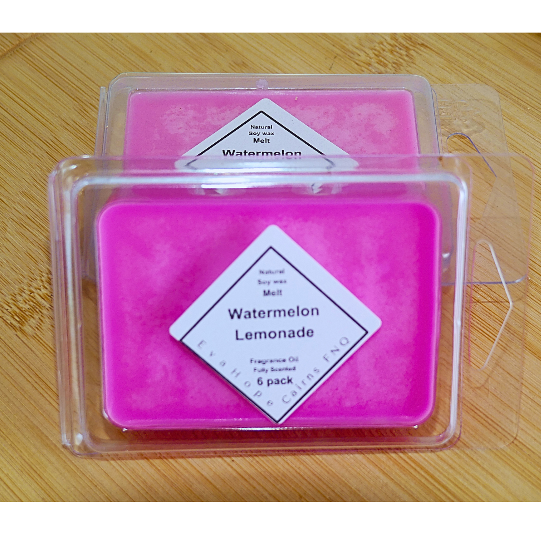WATERMELON LEMONADE - Soy Wax Melts